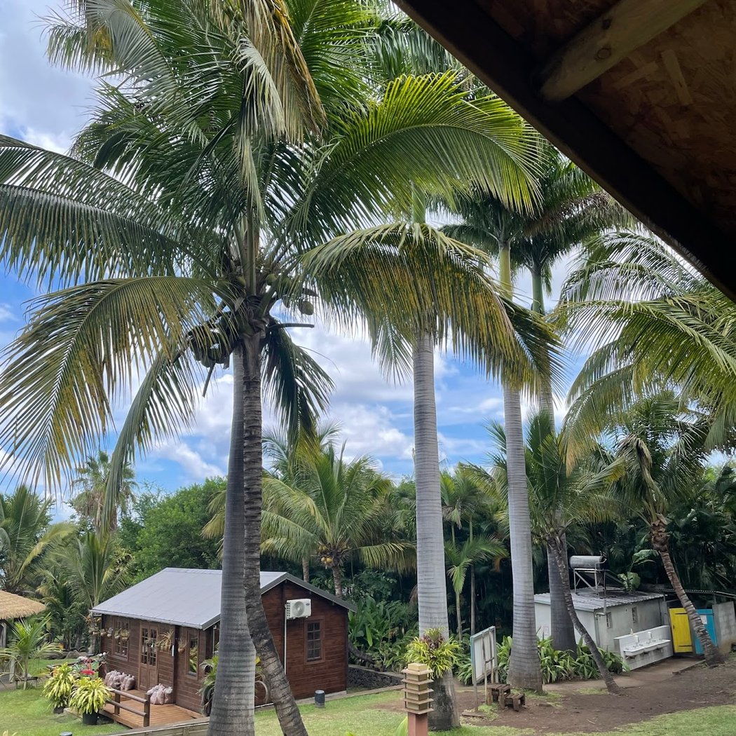 La Maison du coco 3